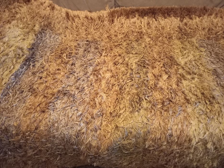 Carpete de sala  em tom de camel e castanho