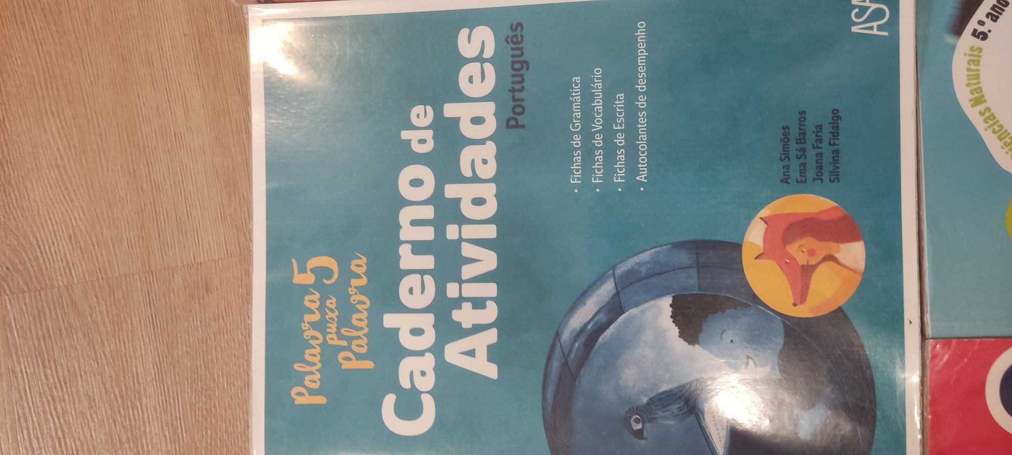 Cadernos fichad 5 ano NOVOS e encadernados