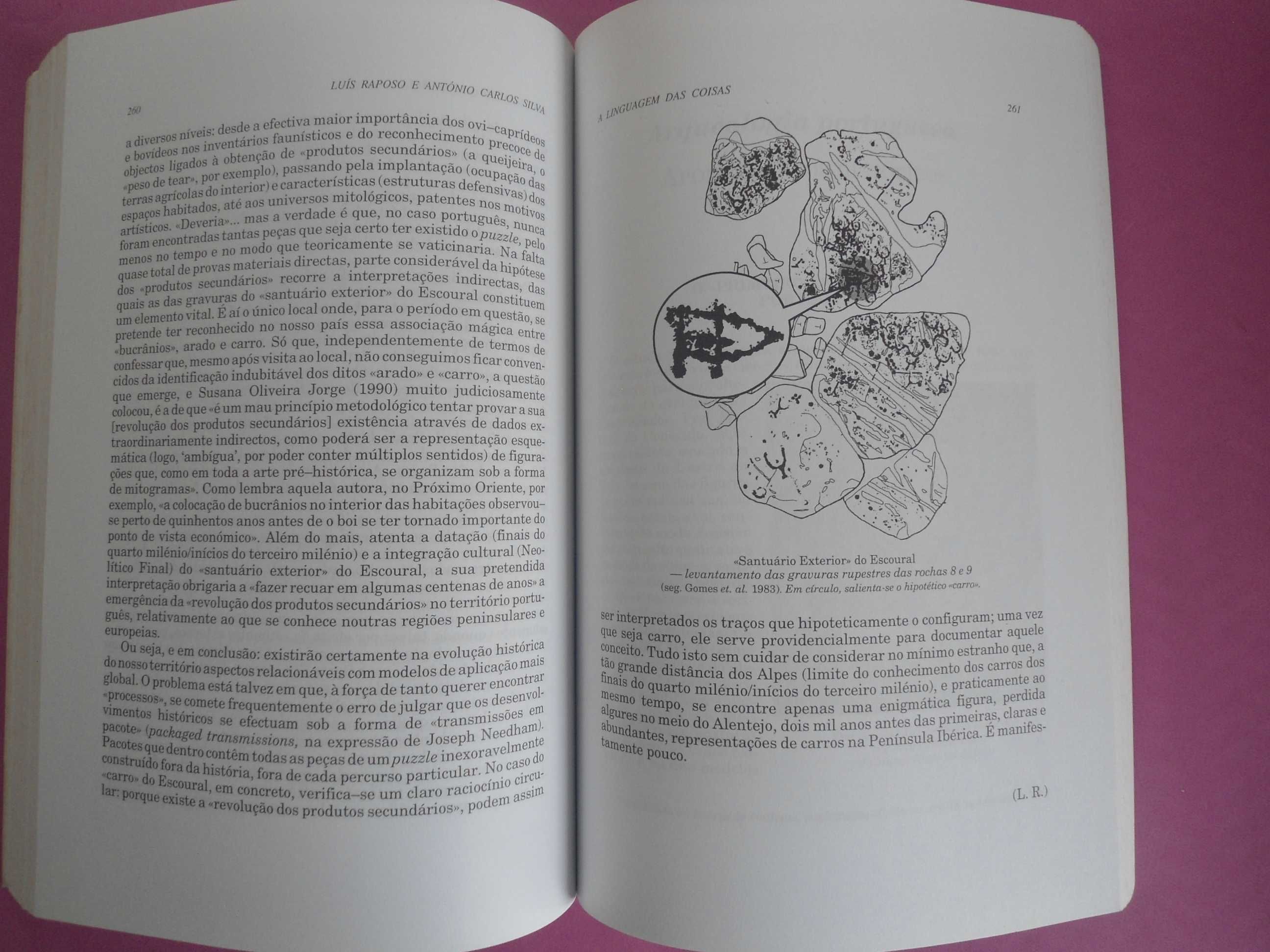 A Linguagem das Coisas - Ensaios e crónicas de arqueologia