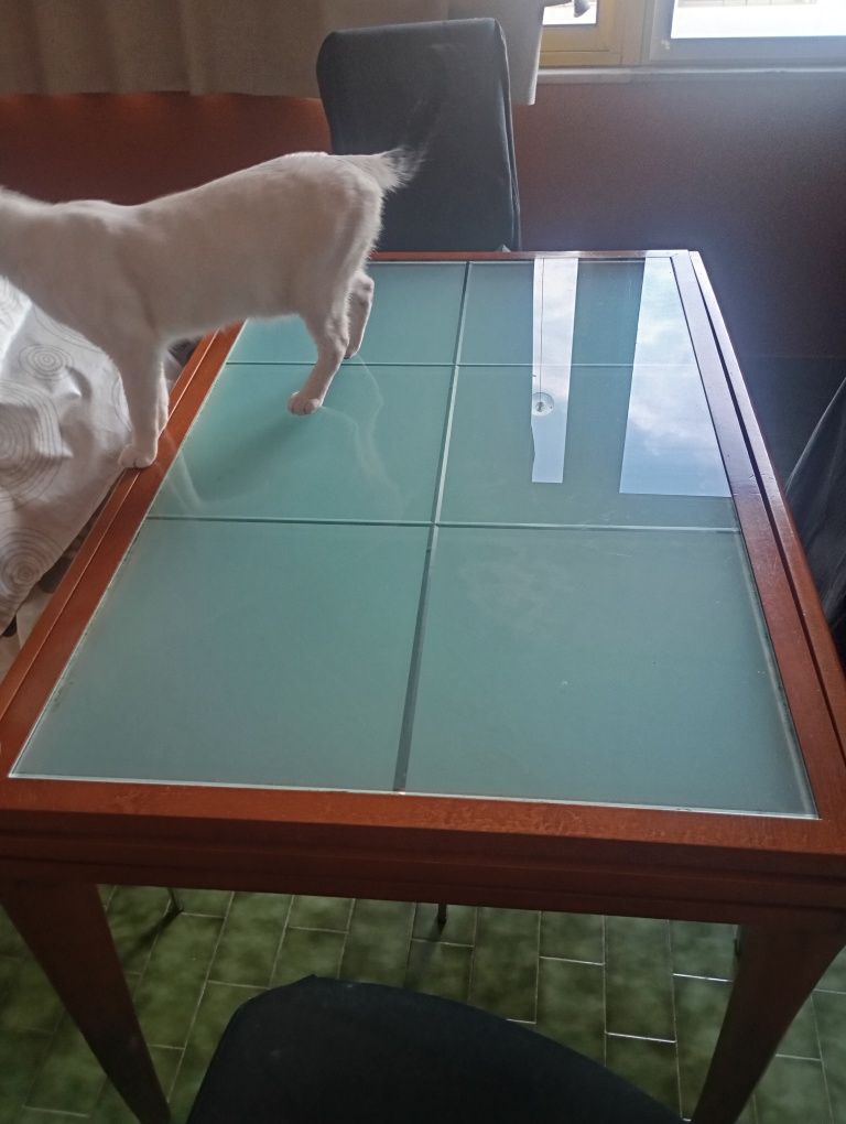 Mesa em segunda mao