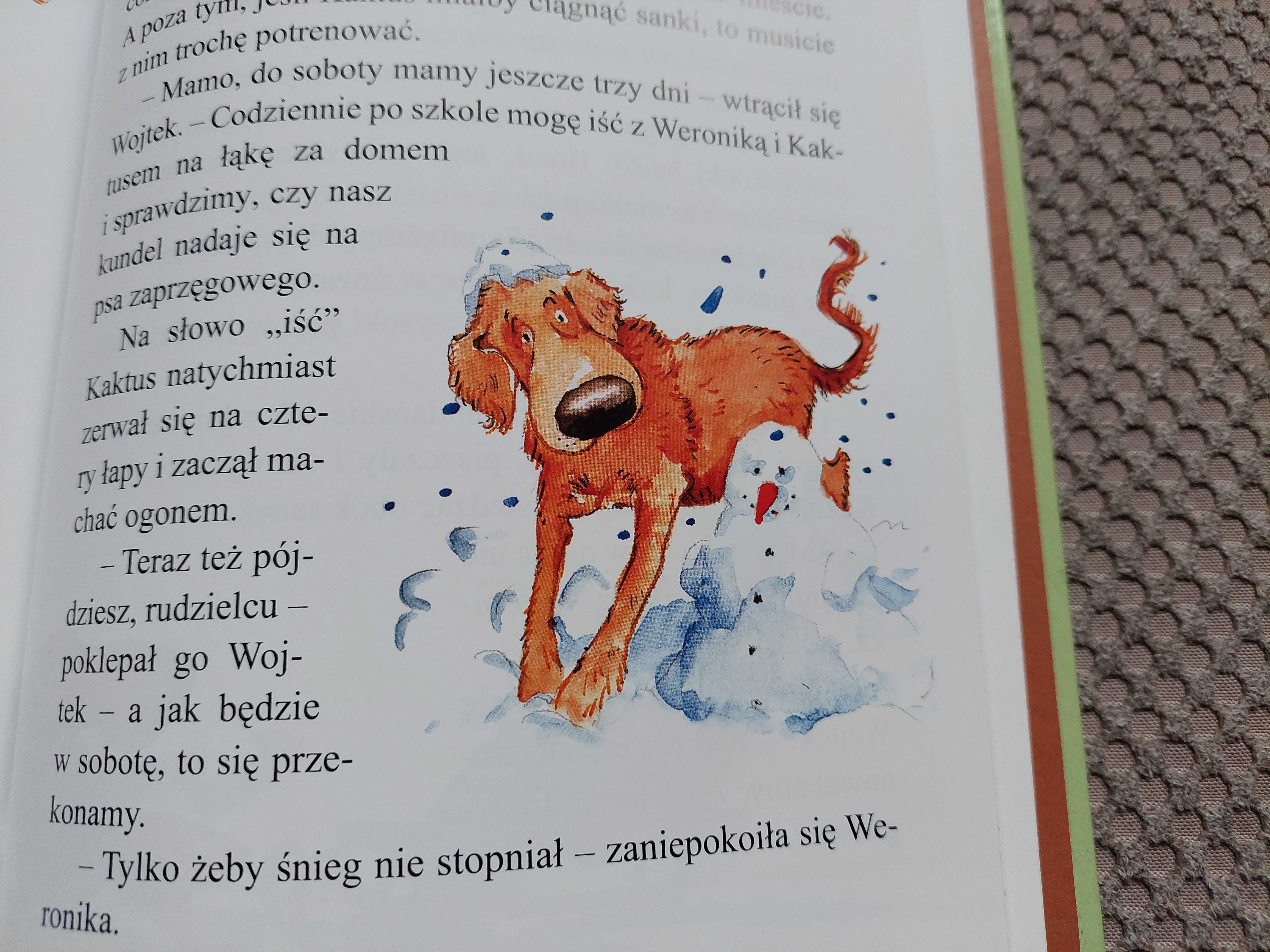 "Kaktus dobry pies" Barbara Gawryluk