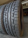 1/2шт R19 225 55 шини літні всесезонні 23рік BFGoodrich Advantage T/A