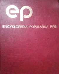 encyklopedia PWN 1992