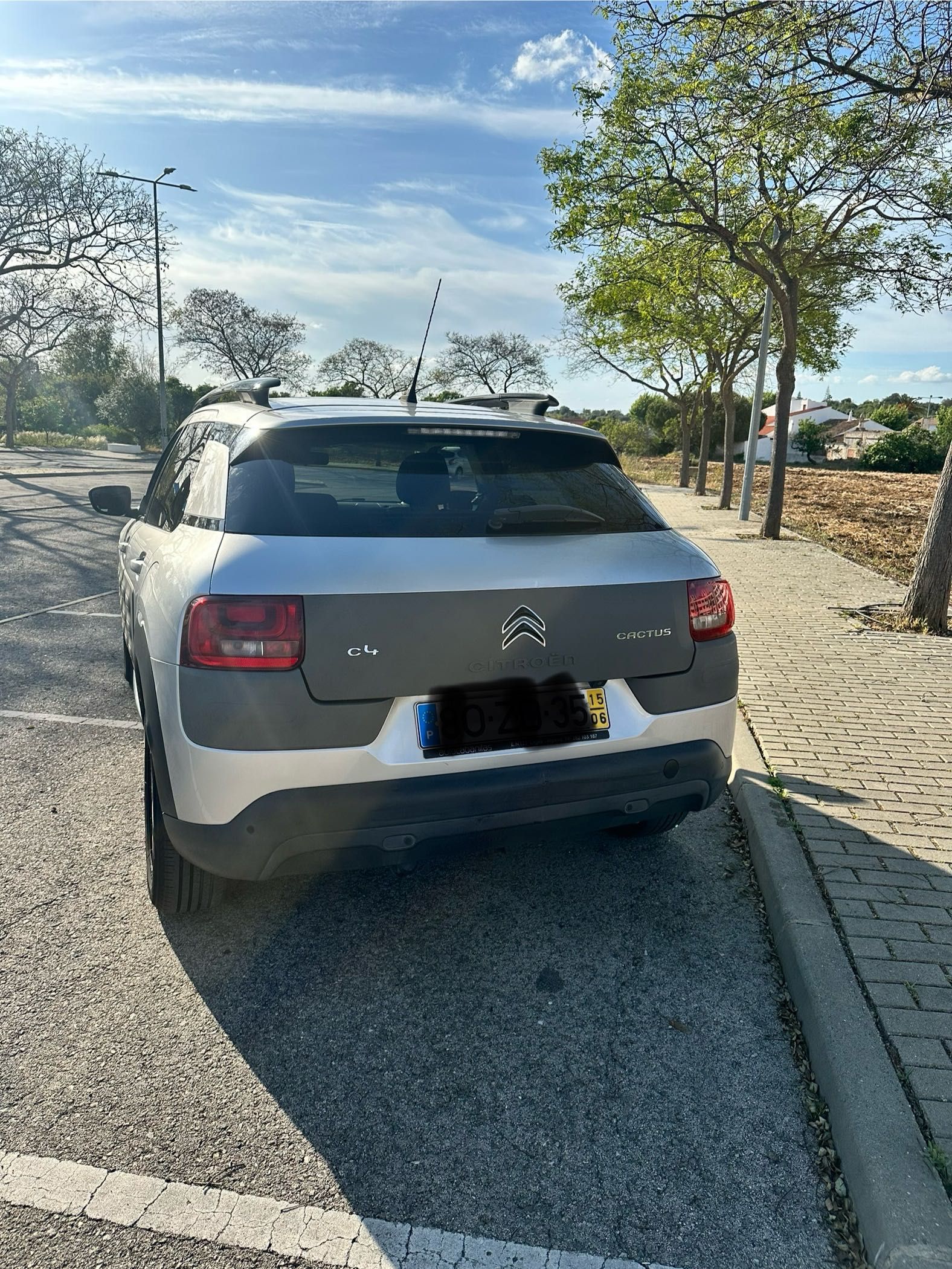 Citrôen C4 Cactus Airbump 2015