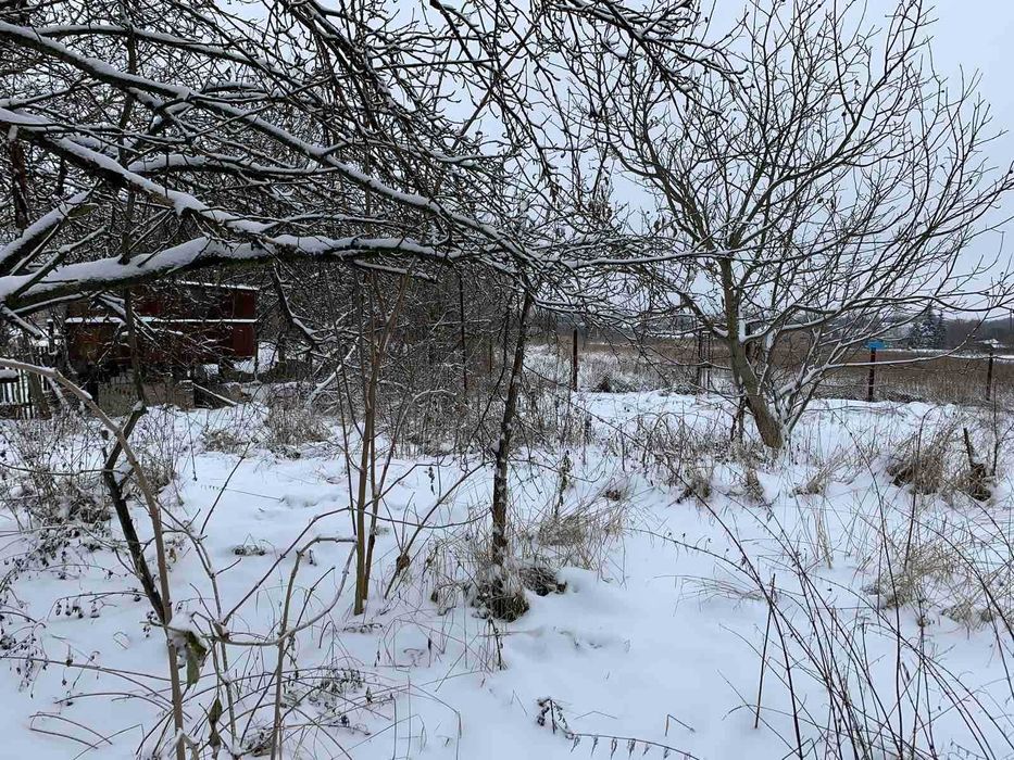 Продаж будинку в Жуках