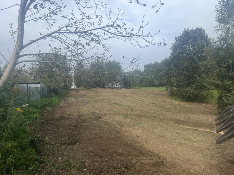 Mulczowanie usuwanie zakrzaczen samosiejek wycinka drzew czyszczenie