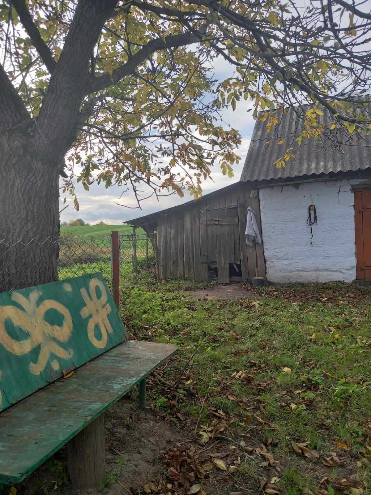 Продам будинок та земельну ділянку 90сотих
