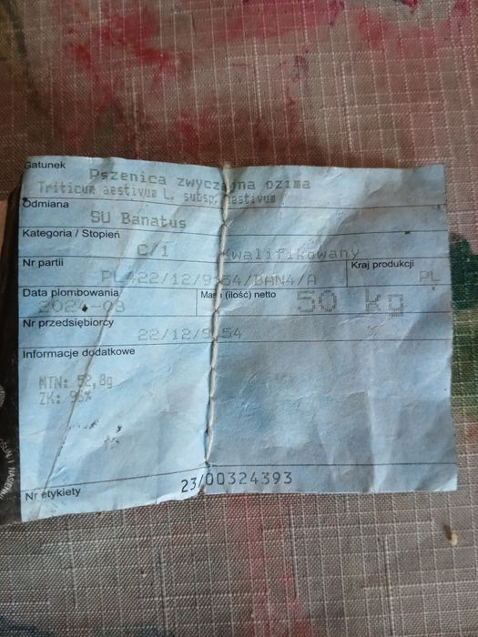 Pszenica ozima SU BANATUS