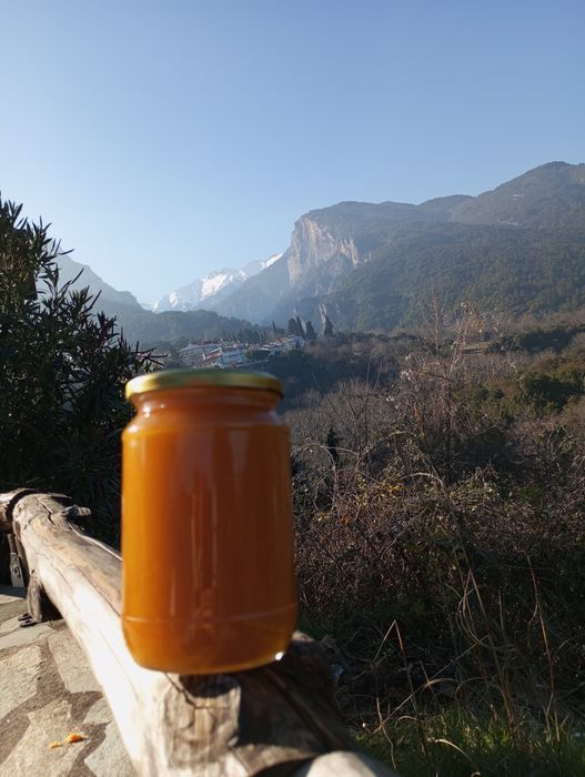 Miód Grecji 1200 g słoik