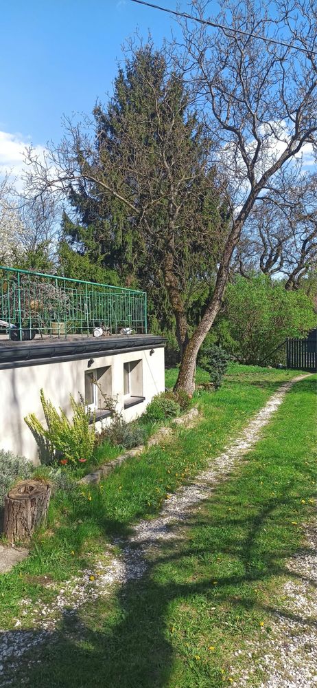 Sprzedam działkę z domem w centrum Nowosolnej. 400 m od rynku.