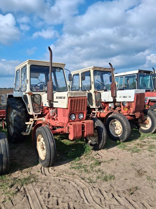 Ciagnik Belarus 80 S sprowadzone