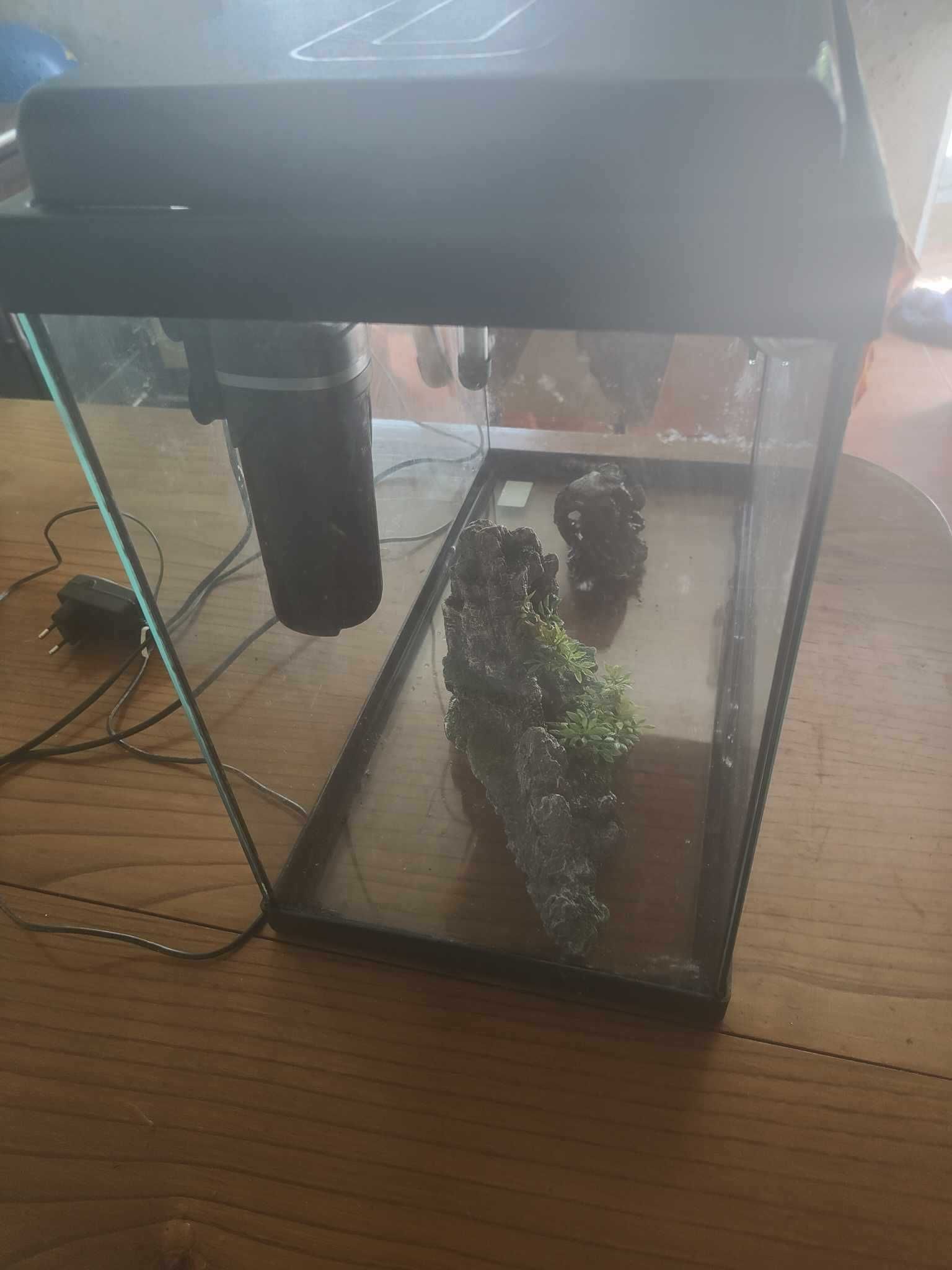 Aquario completo