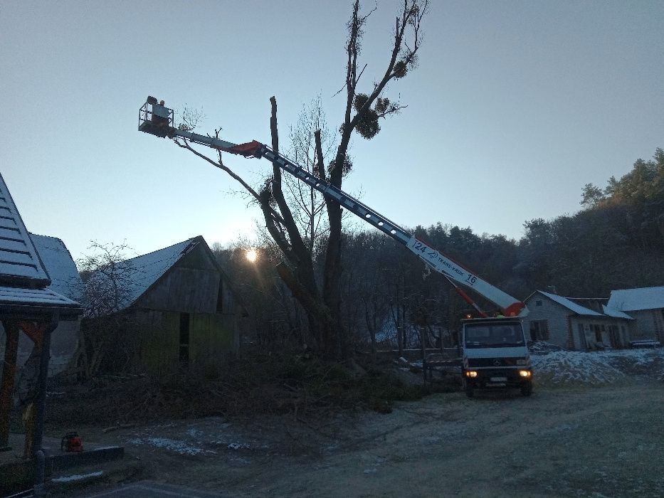 Wycinka drzew/Karczowanie/Rębak/Zwyżka/Malowanie/Mycie/Drewno opałowe