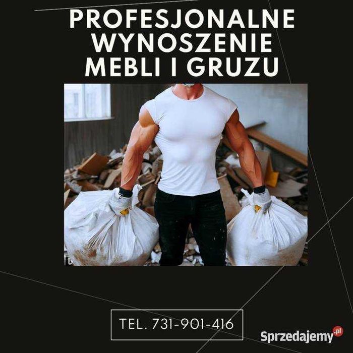 Wynoszenia/ Wyburzenia / Demontaż / Wnoszenia /