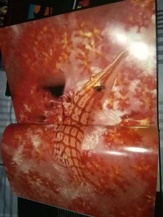 6 livros da Natureza selvagem