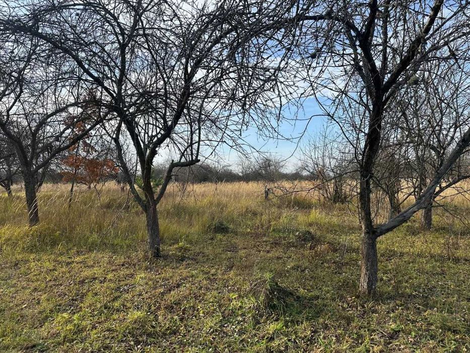 Продаж ділянки 10 соток під забудову. Біля лісу.Зручний під'їзд.ID:728