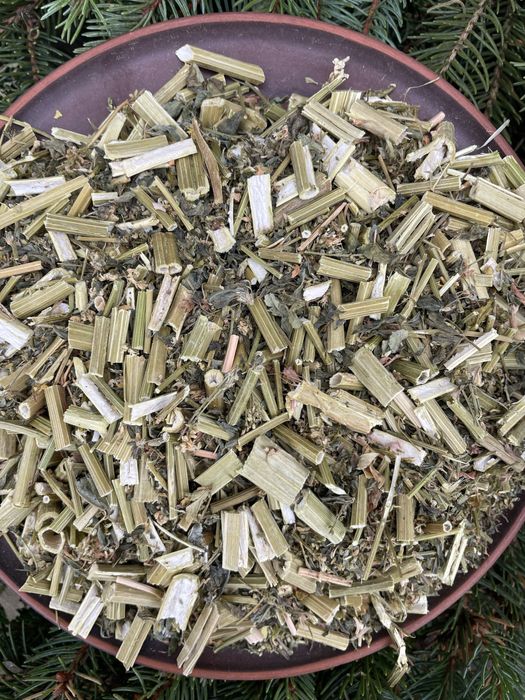 Буркун різаний , донник трава