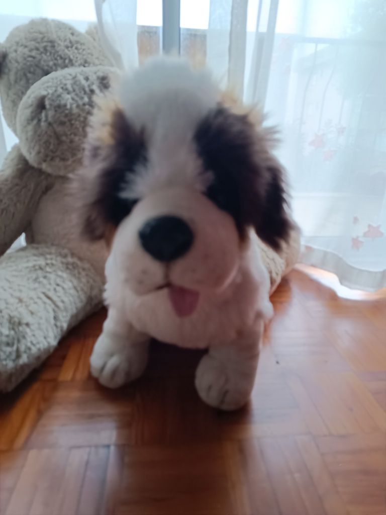 Peluche São Bernardo gigante