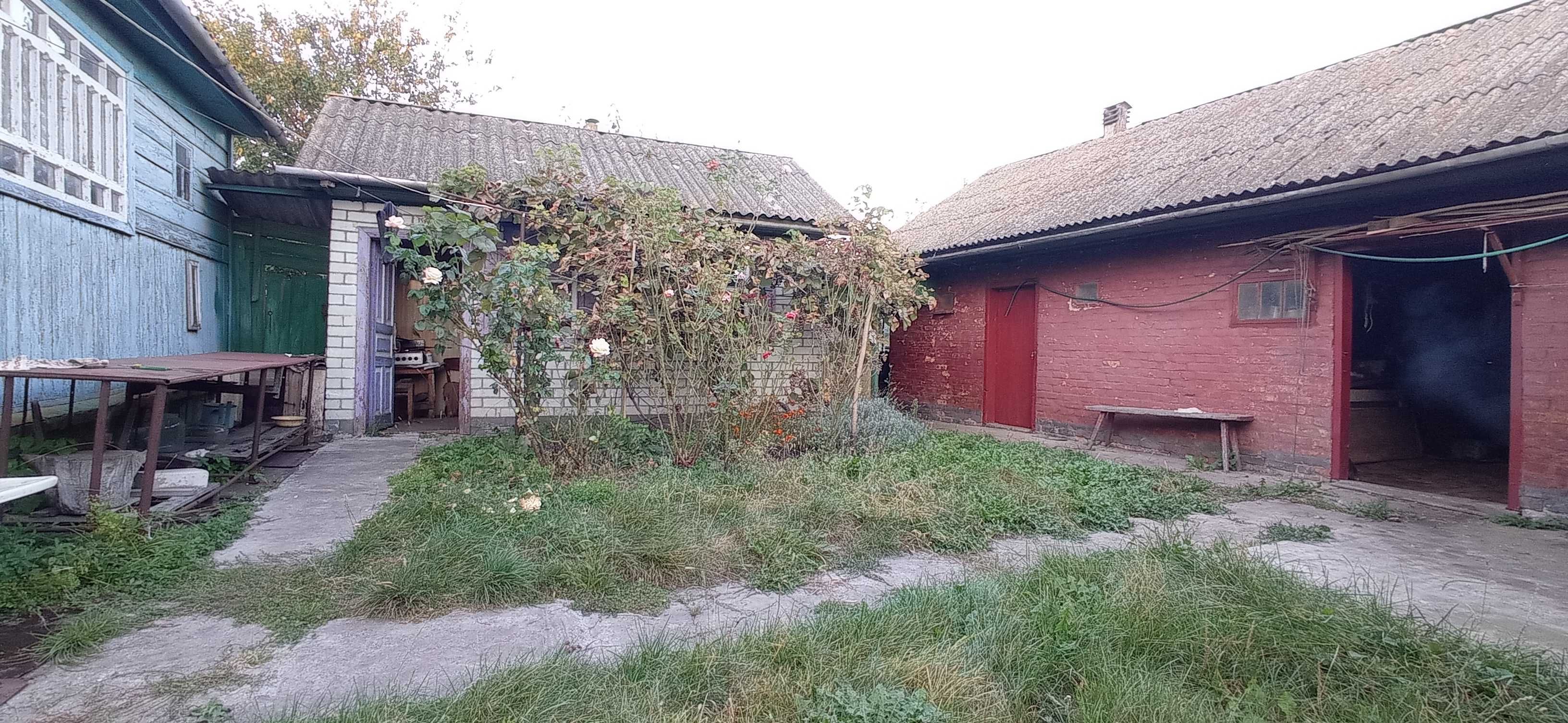 Продам житловий будинок в селі  Талалаївка 11км від Ніжина .