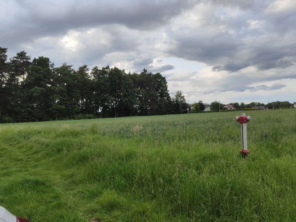 * Działka działki Rogoźna Żory 800 - 5000m2 wśród luźnej zabudowy *