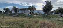Quinta Com Moradia E Terreno  (7.800 M2)