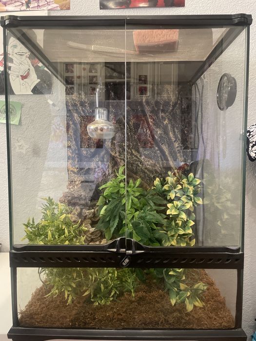 Терариум Exo Terra +фонтан+светильник Exo Terrа+декор 3шт.+гигрометр