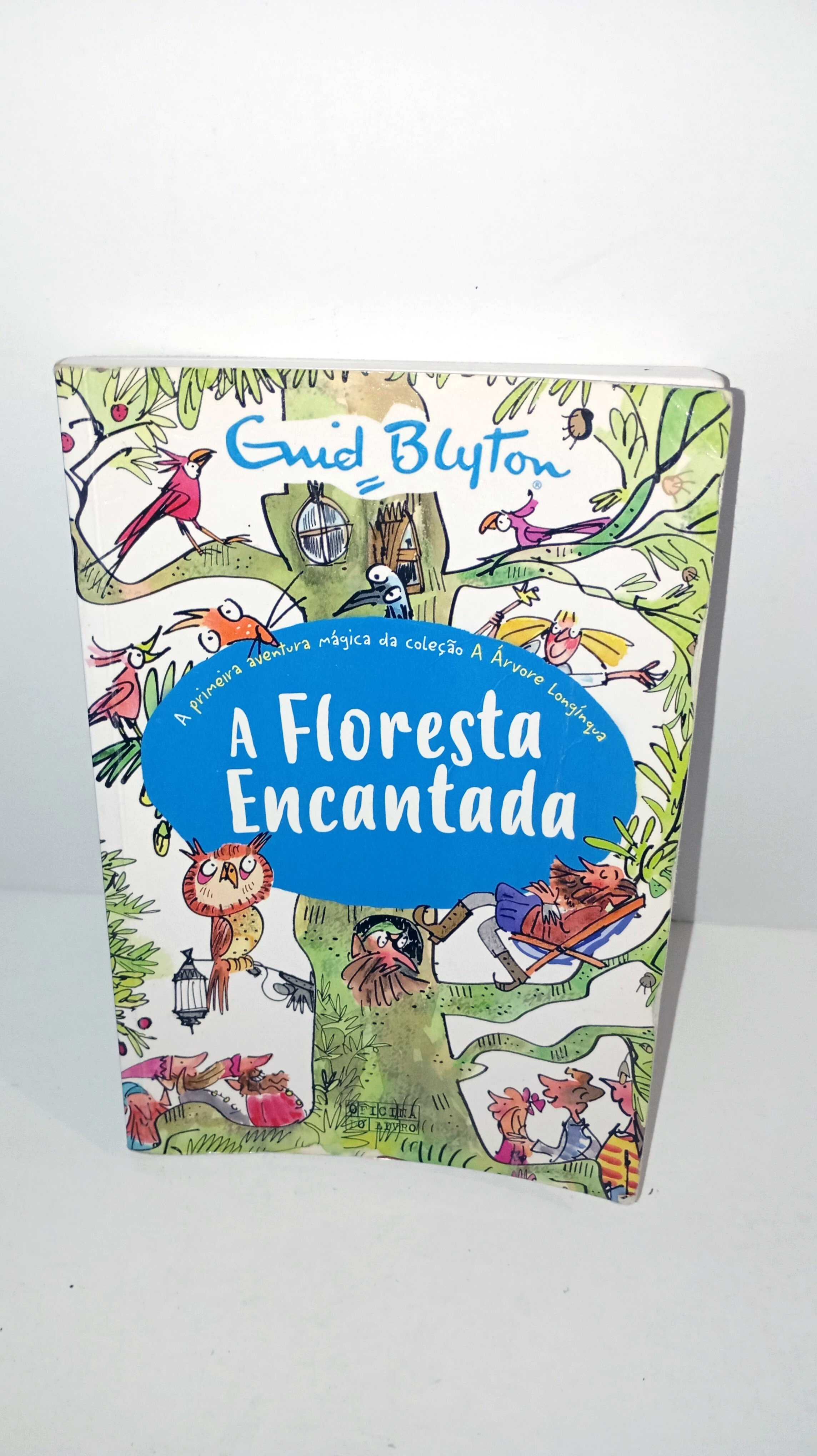 A Floresta Encantada - Oficina do livro
