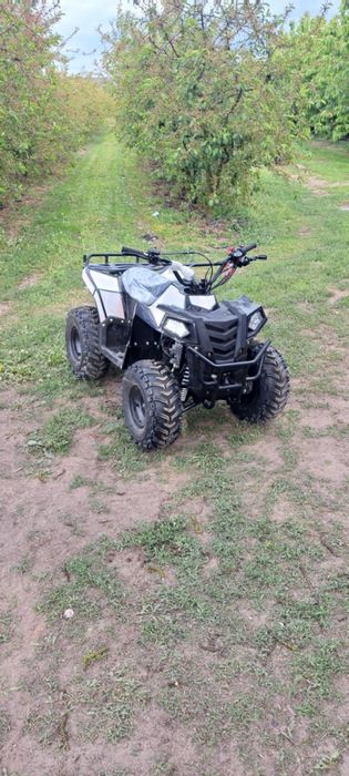 Quad 110cc Commander Apollo