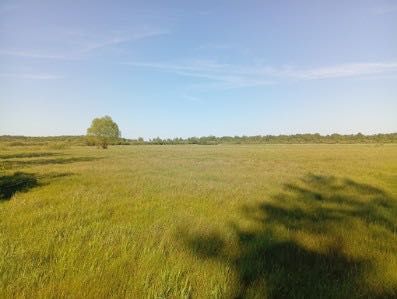 Ziemia rolna 2,81 ha