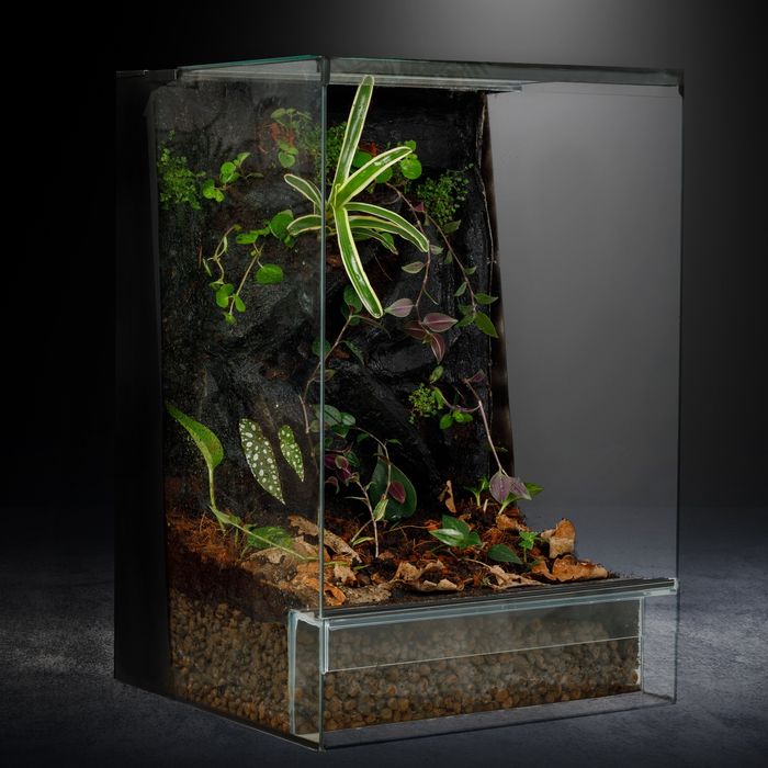 Terrarium 40x40x60 gekon jaszczurka tropikalne
