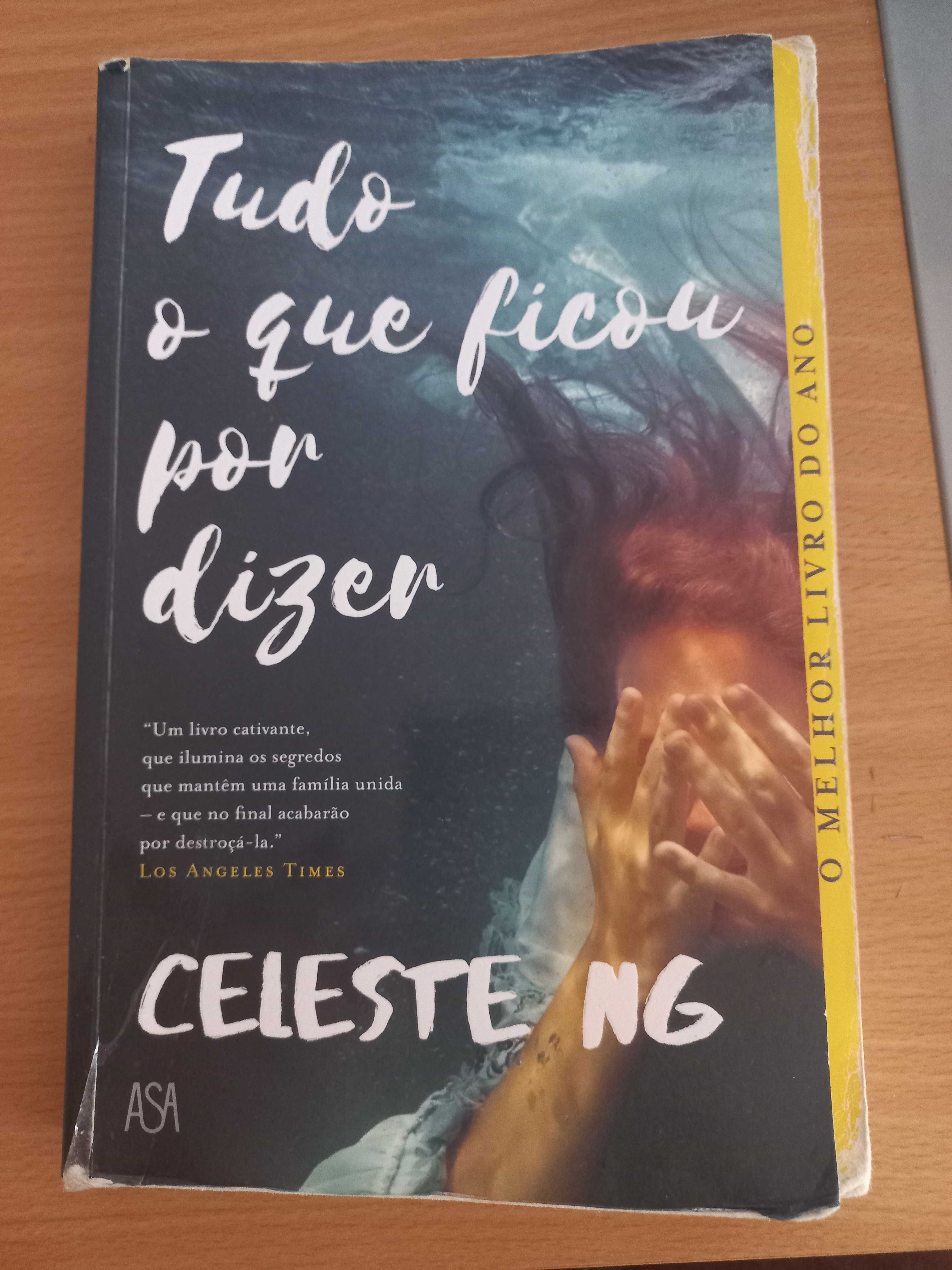 Livros Tudo o que ficou por dizer/Bel o amor para alem da morte/outros