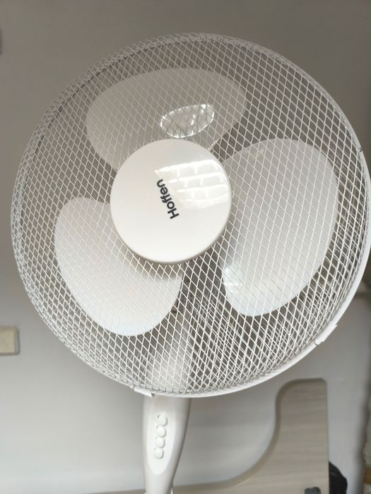 wentylator duży Hoffen i mały Botti