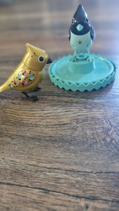 Kolorowe ćwierkające ptaszki z podstawką