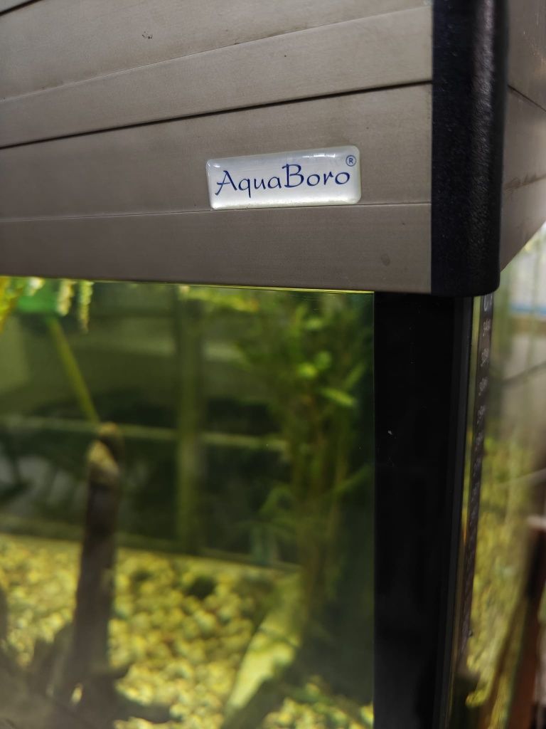 Akwarium Aqua Boro 1000l