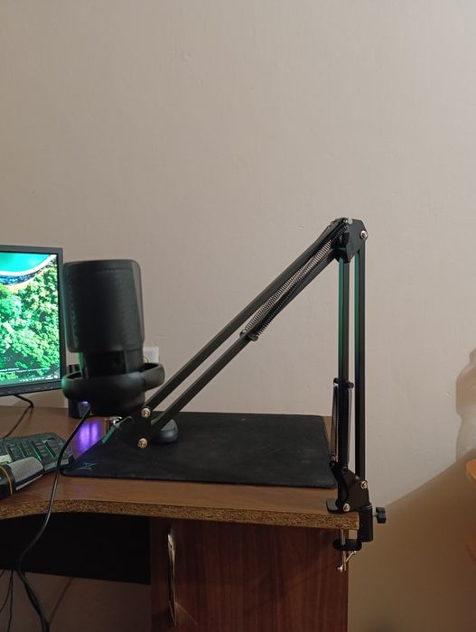 Ігровий мікрофон