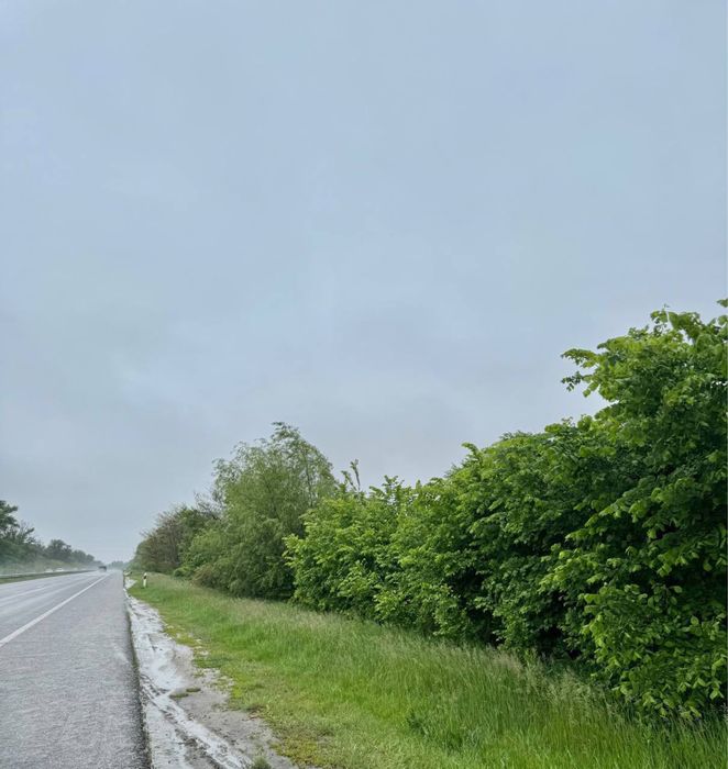 Земельна ділянка 20,17 га! с.Небелиця