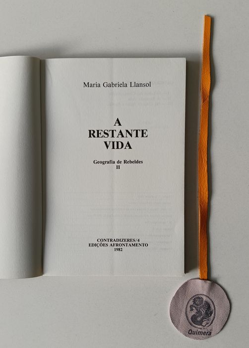 A restante vida, II - da trilogia, Geografia de Rebeldes