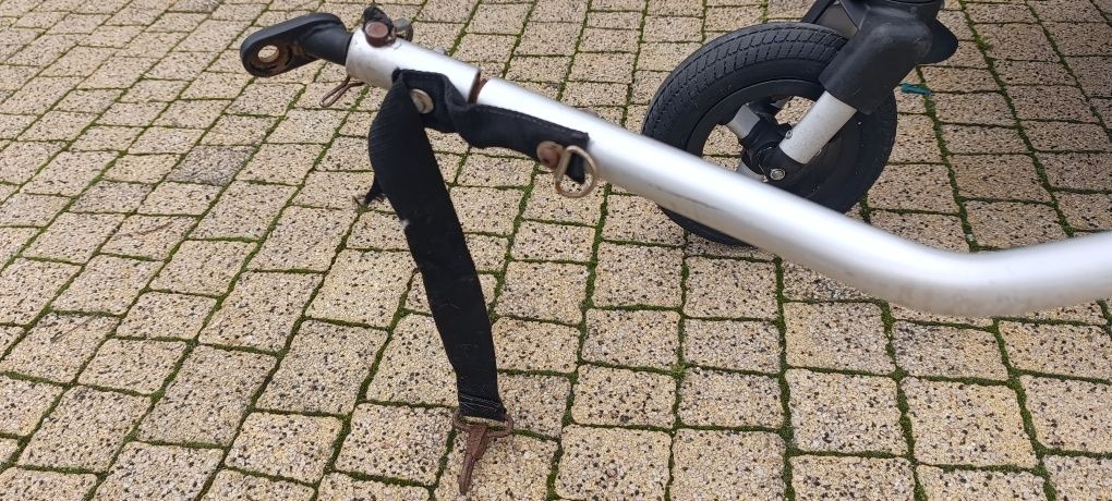 Przyczepka rowerowa Qeridoo Speed kids 2.