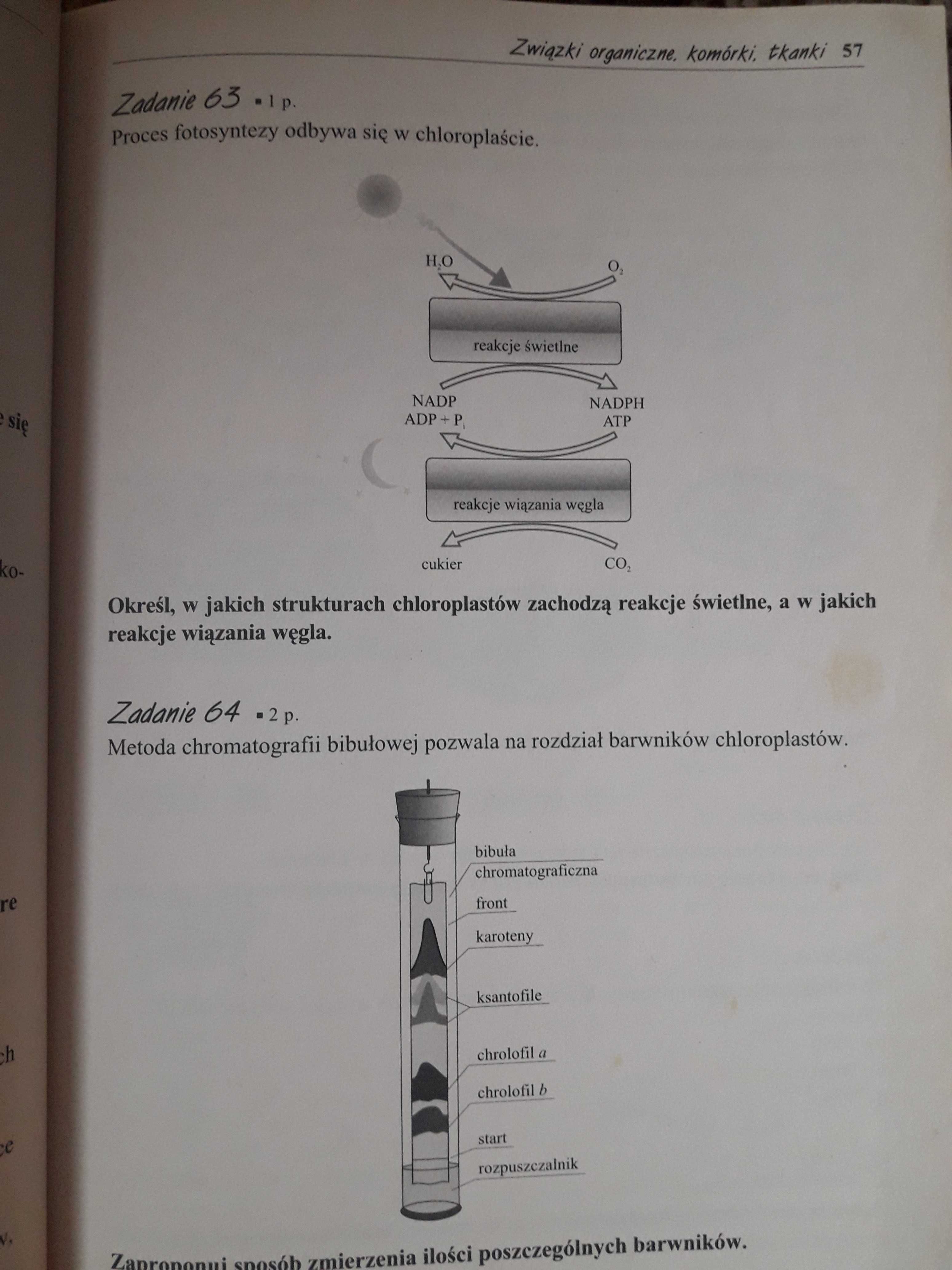 BIOLOGIA - Matura na 100% - 520 zadań kontrolnych