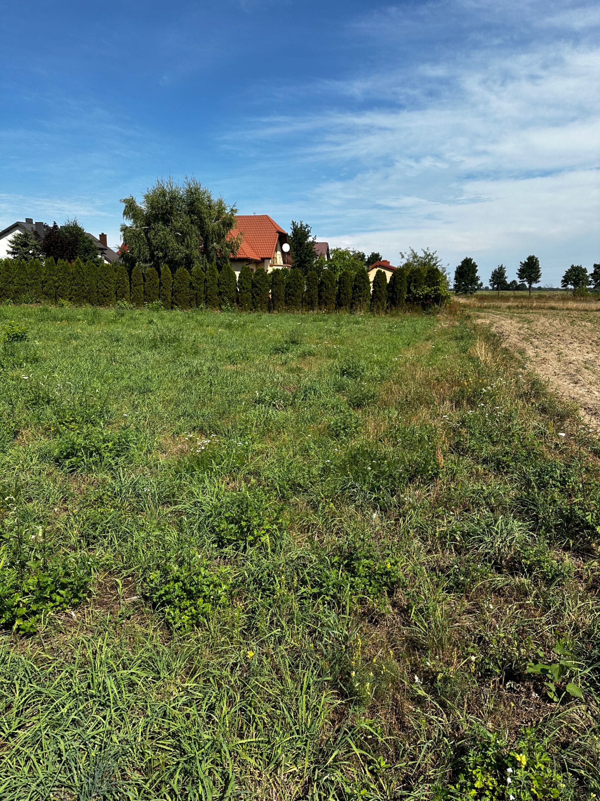 Działka budowlana Przasnysz ul. Tuwima 988m2
