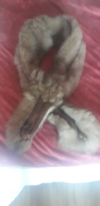 Estola de raposa em pele