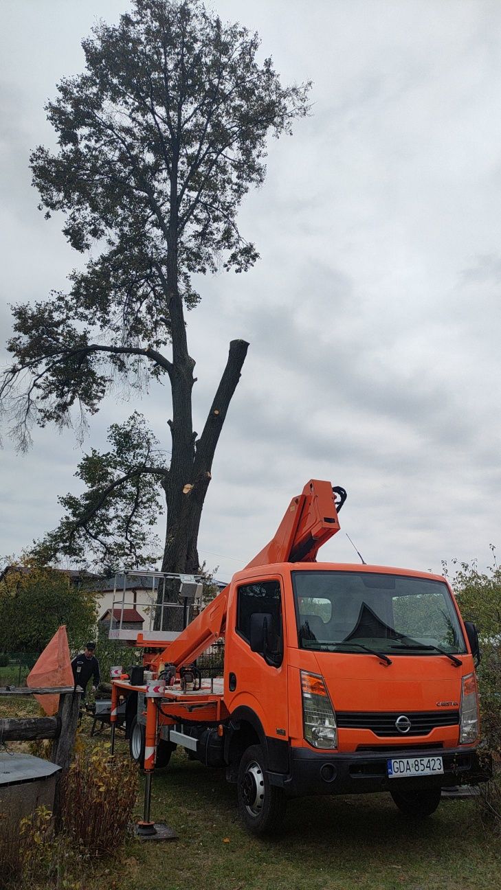 Wycinka drzew, usługi podnośnikiem koszowym, zwyżka 21m
