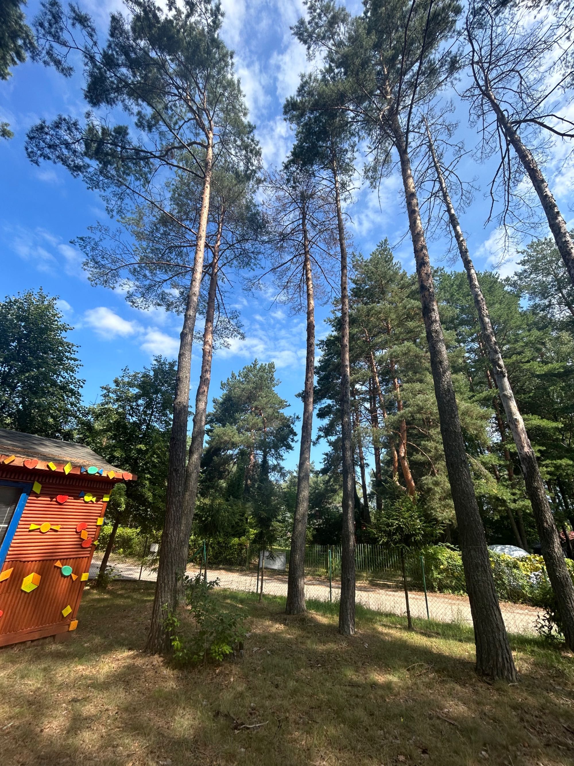 działki nie zabudowane , 70m od Jeziora Bialego .