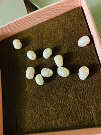 naturalne, prawdziwe perły barokowe PERŁY BARRoko