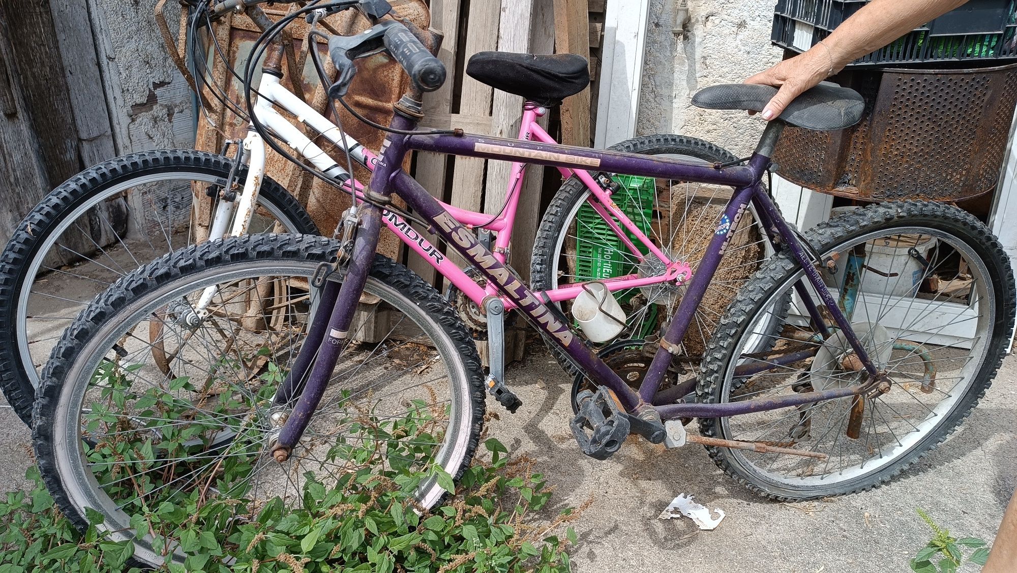 Bicicletas a pedais