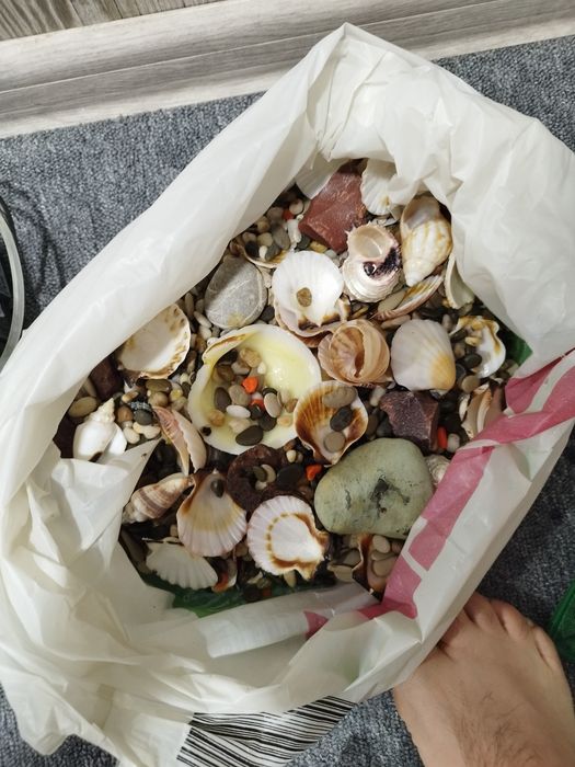 Акваріум невеликий, повний коплект