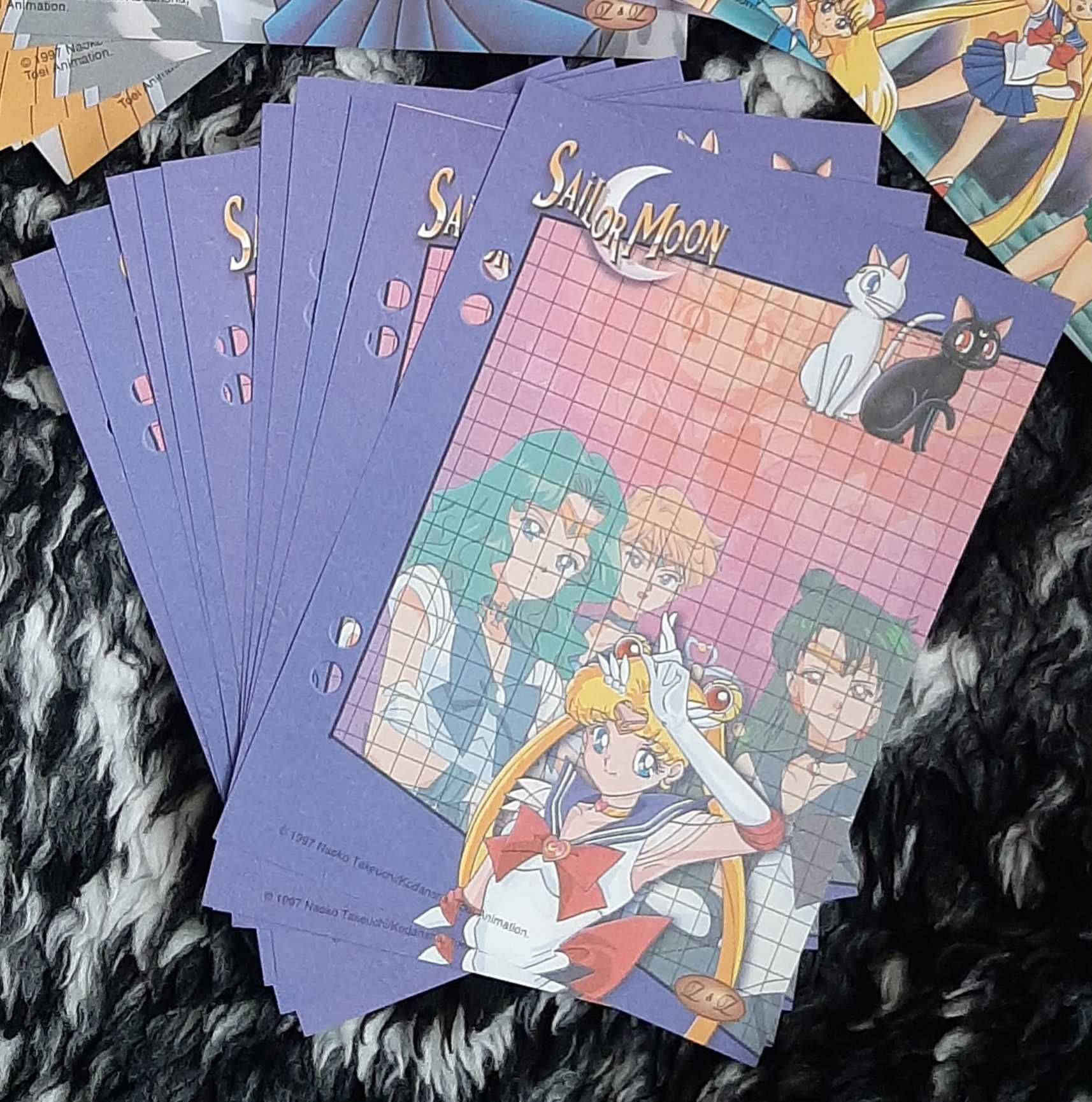 Sailor Moon / Czarodziejka z Księżyca - KARTECZKI do segregatora