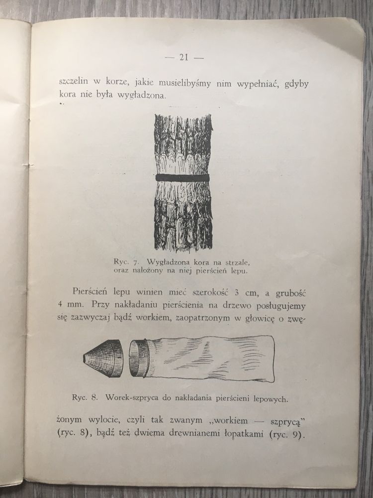 Barczatka sosnówka i jej zwalczanie Nunberg 1934 leśnictwo entomologia