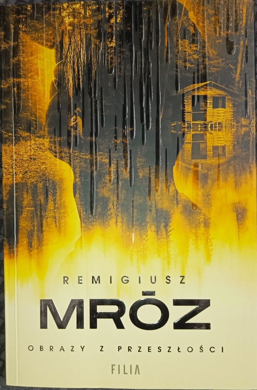 Obrazy z przeszłości Remigiusz Mróz