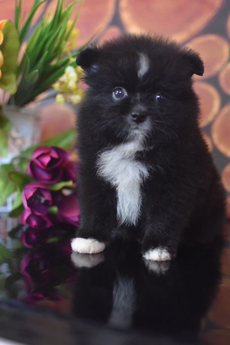 У пошуках мами хлопчик